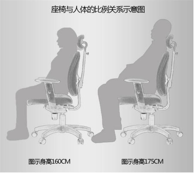 椅子分析图